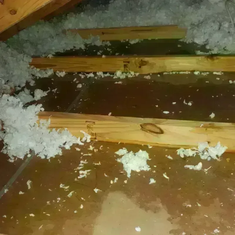 Attic Water Damage in Woodville, FL