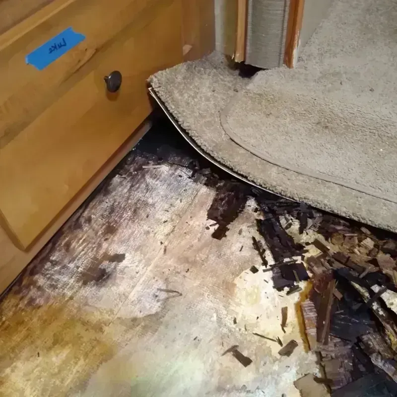 Wood Floor Water Damage in Woodville, FL